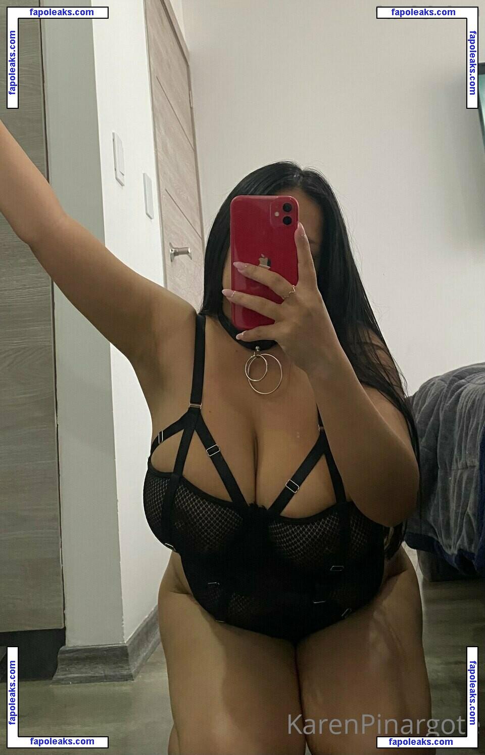 Karen Pinargote Torres / karenpinargot19 / karenpinargote / marilynptorres nude photo #0051 from OnlyFans