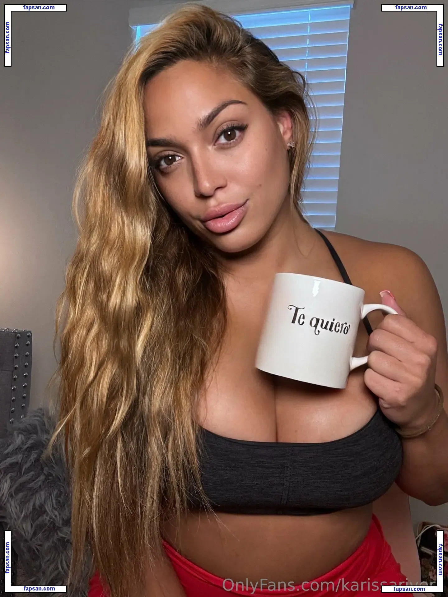 karissarivera голая фото #0016 с Онлифанс