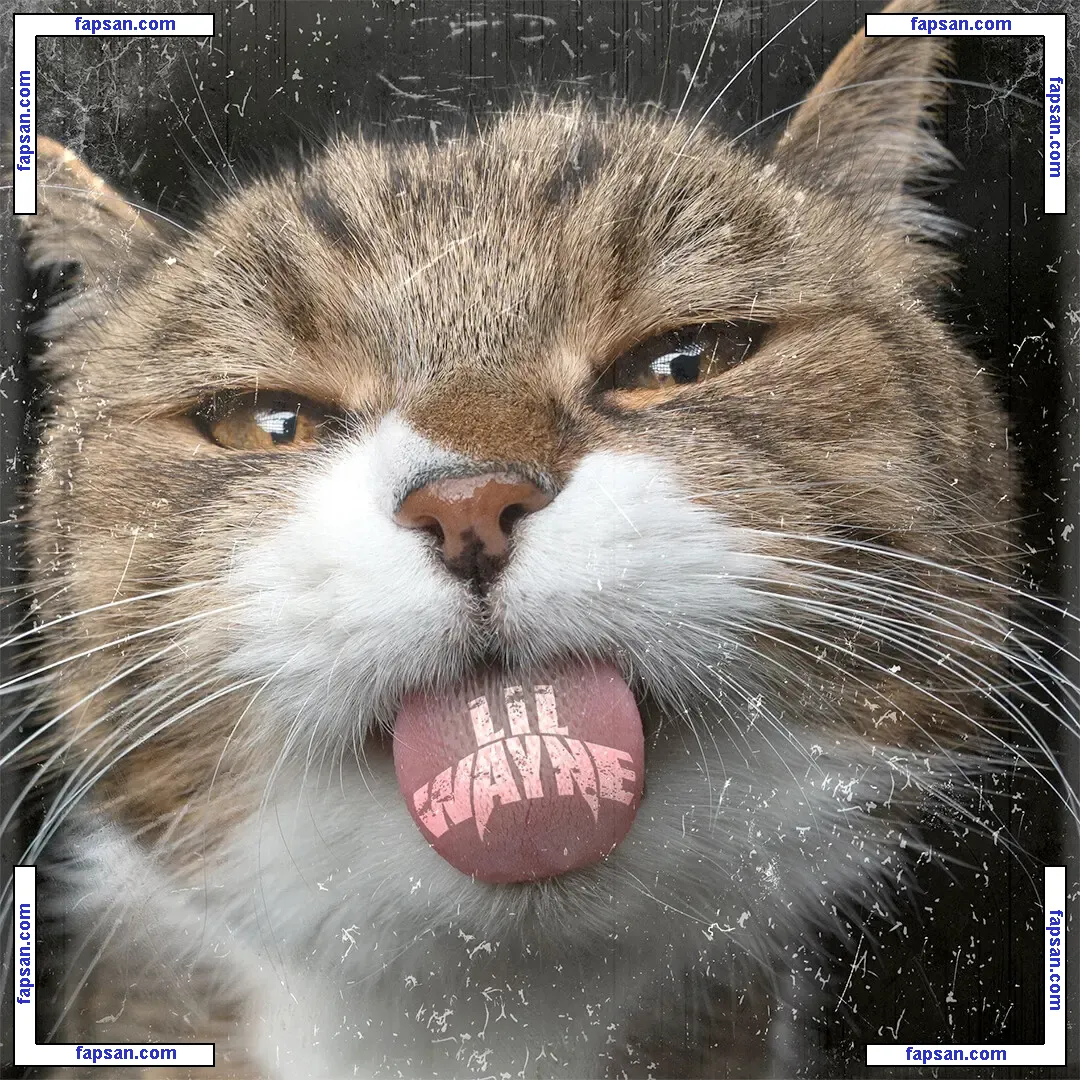 Kat Snack nude photo #0002 from OnlyFans