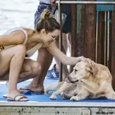 Katharine McPhee голая #0614