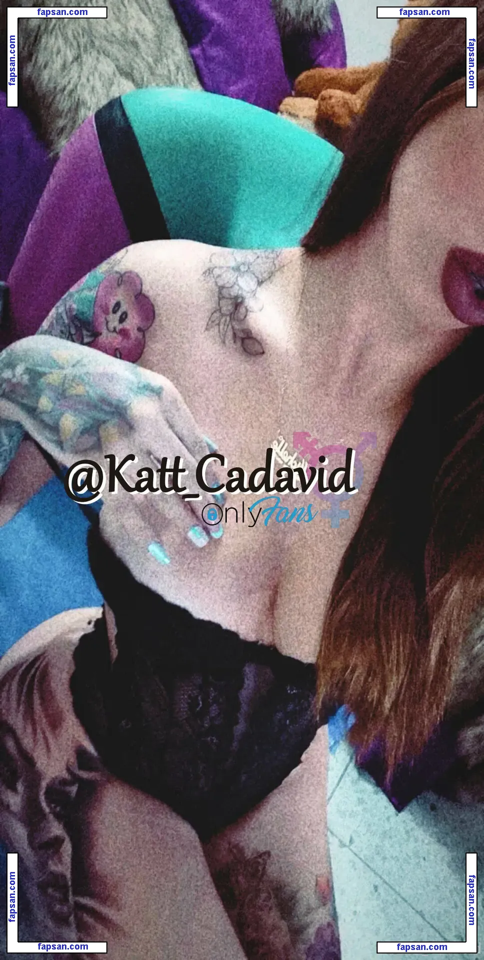 katt.sweet nude photo #0002 from OnlyFans