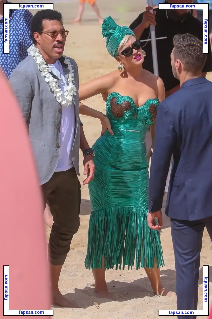 Katy Perry nude photo #0028 from OnlyFans