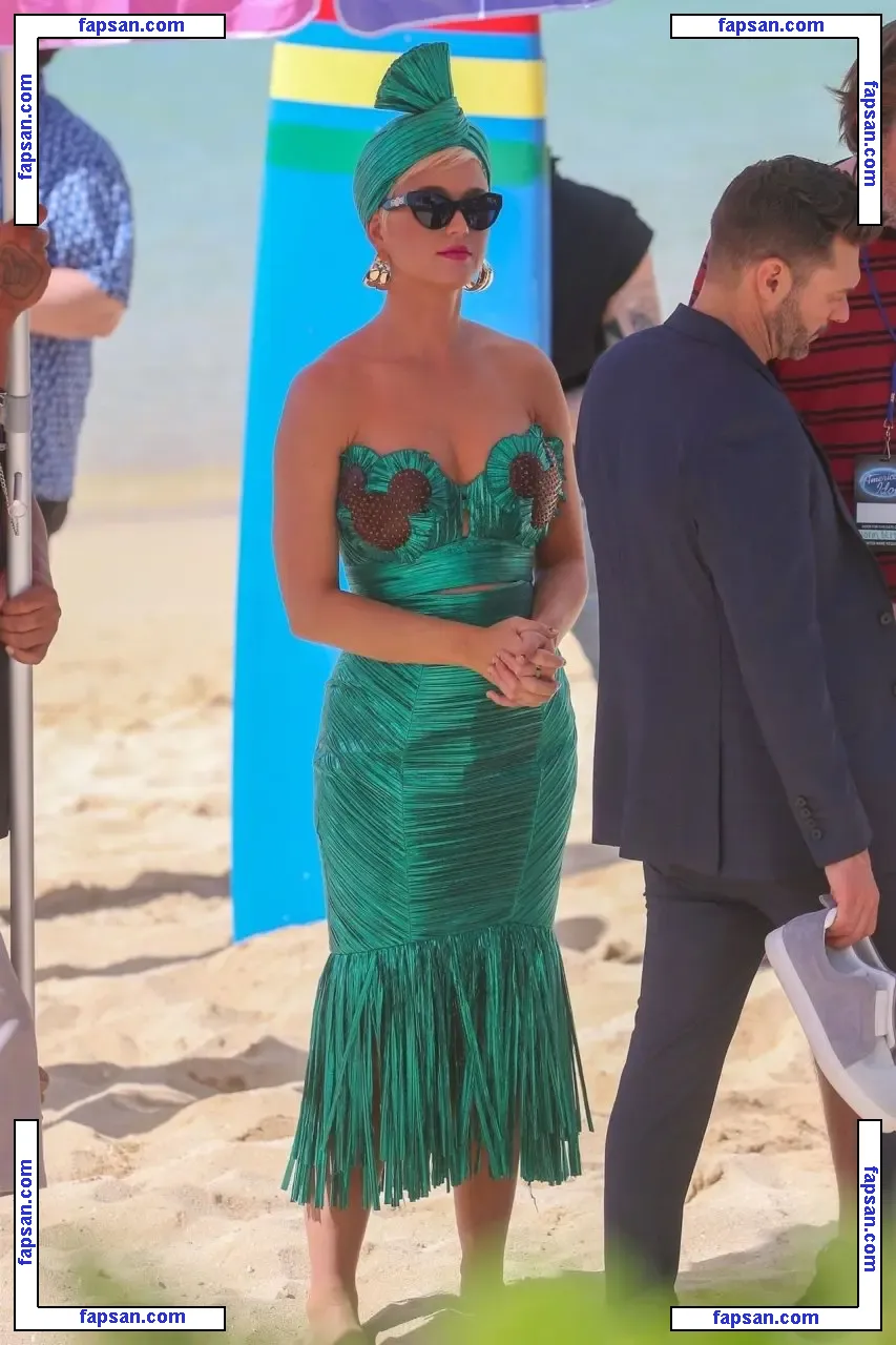 Katy Perry nude photo #0032 from OnlyFans