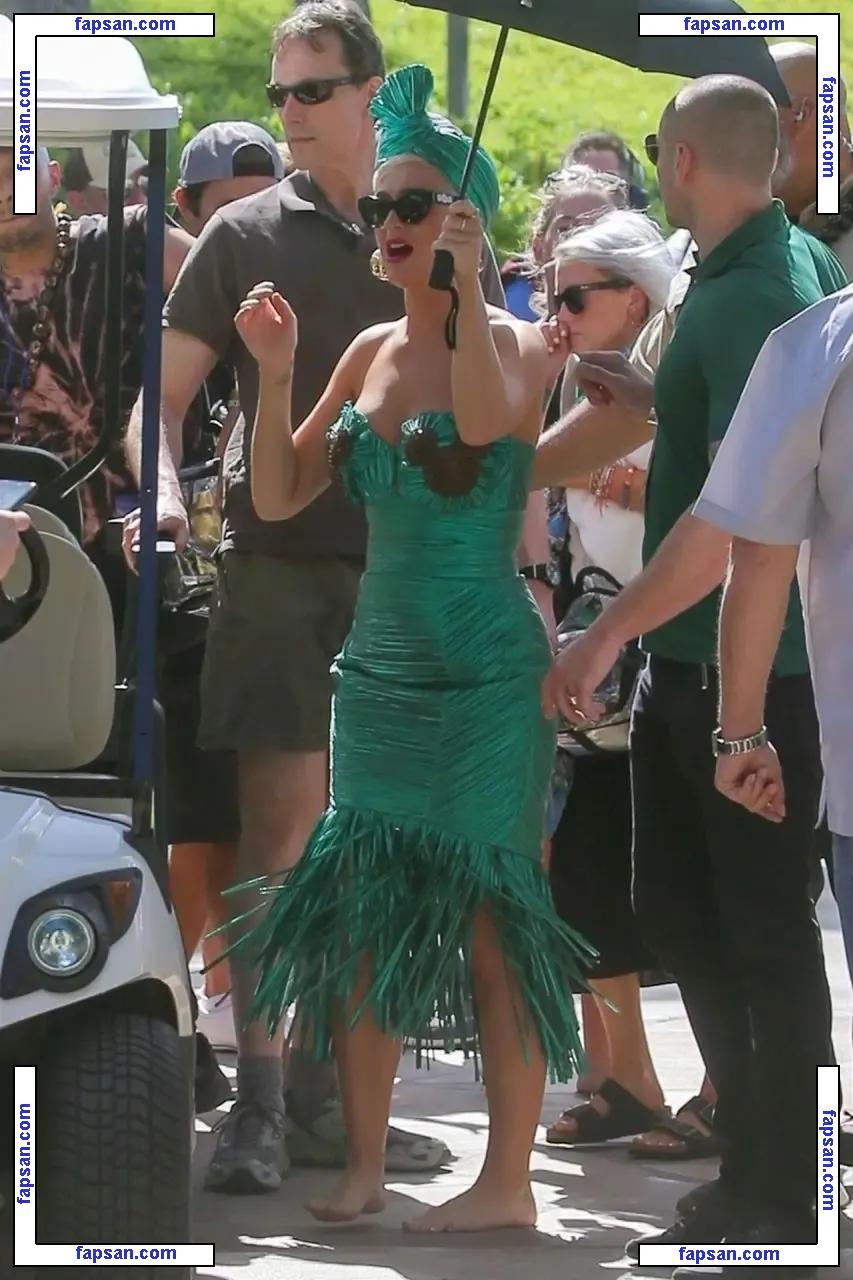 Katy Perry nude photo #0041 from OnlyFans