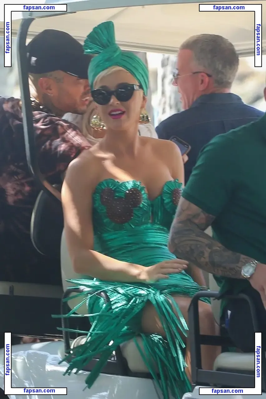 Katy Perry nude photo #0045 from OnlyFans