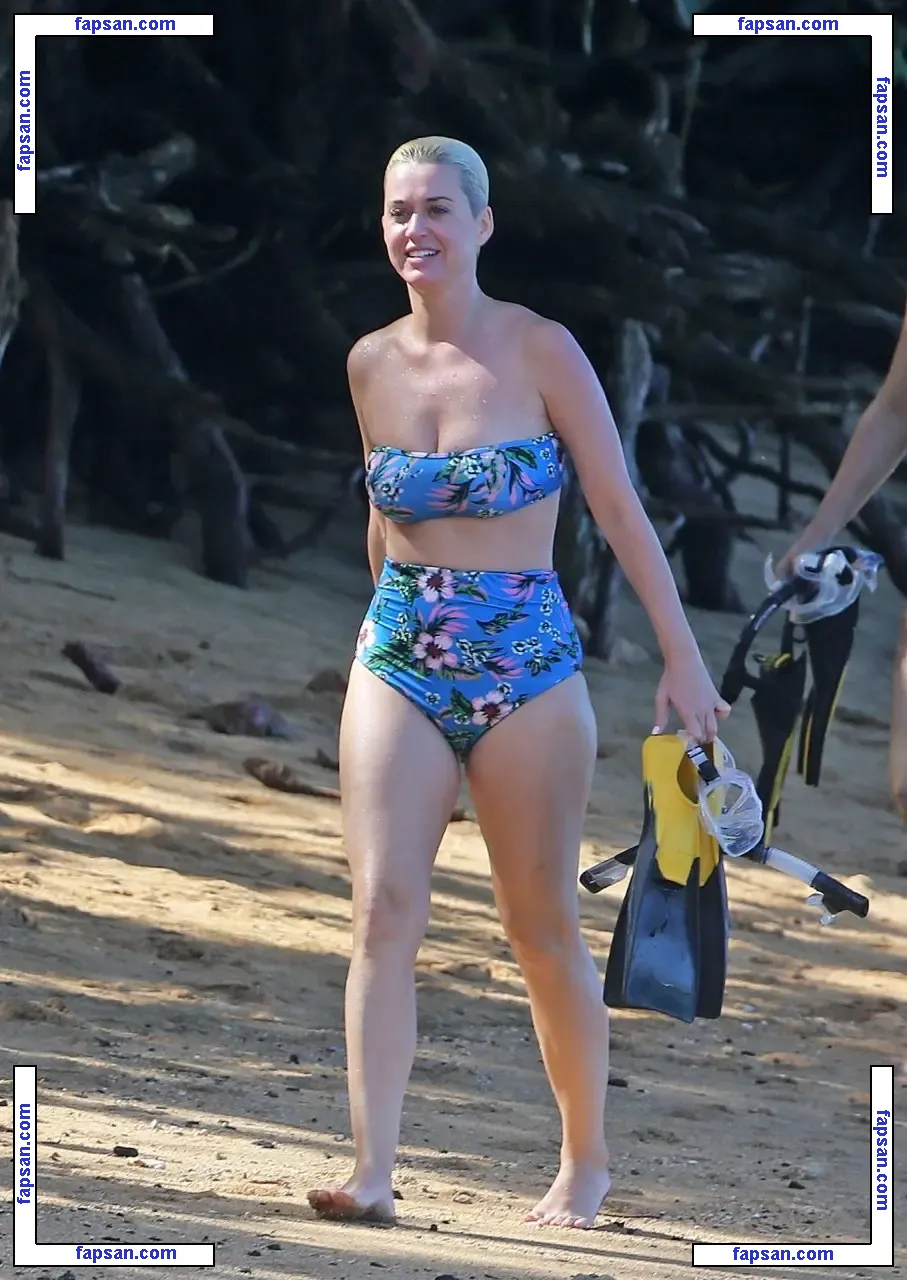 Katy Perry nude photo #0065 from OnlyFans