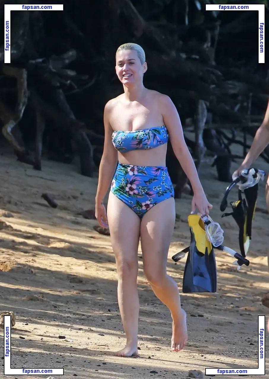 Katy Perry nude photo #0066 from OnlyFans