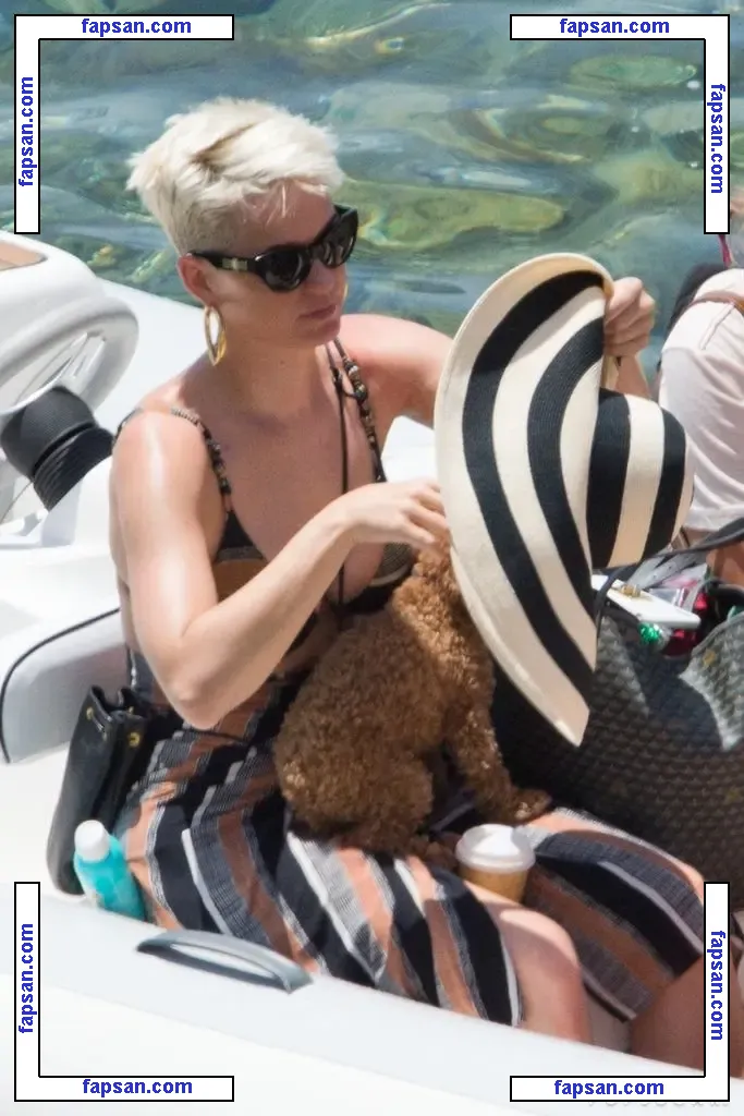 Katy Perry nude photo #0141 from OnlyFans