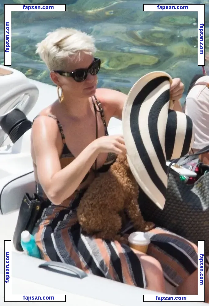 Katy Perry nude photo #0156 from OnlyFans