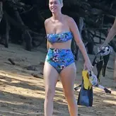 Katy Perry nude #0065