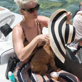 Katy Perry nude #0156