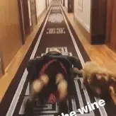 Katy Perry nude #0227