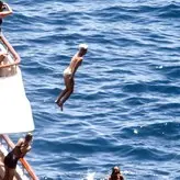 Katy Perry nude #0562