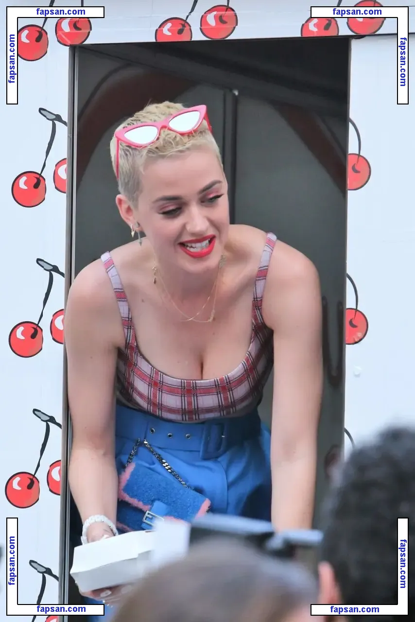 Katy Perry nude photo #1178 from OnlyFans