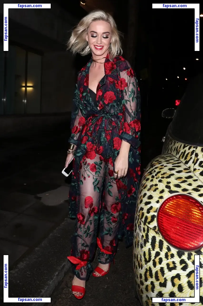 Katy Perry nude photo #1329 from OnlyFans