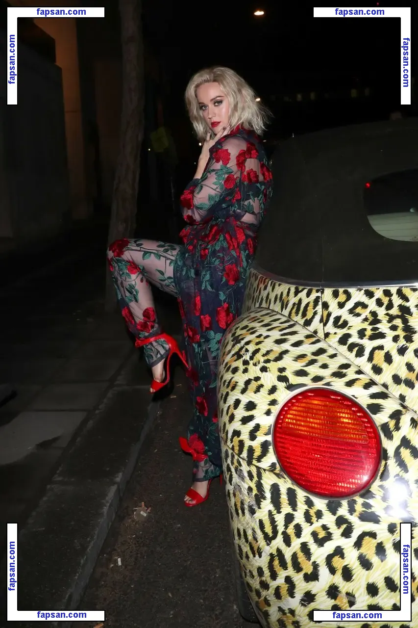 Katy Perry nude photo #1331 from OnlyFans