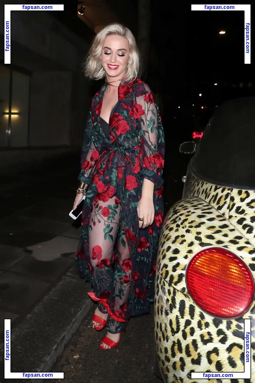 Katy Perry nude photo #1332 from OnlyFans