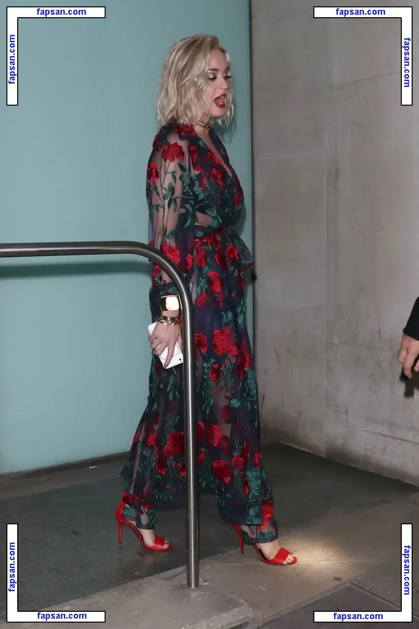 Katy Perry nude photo #1337 from OnlyFans