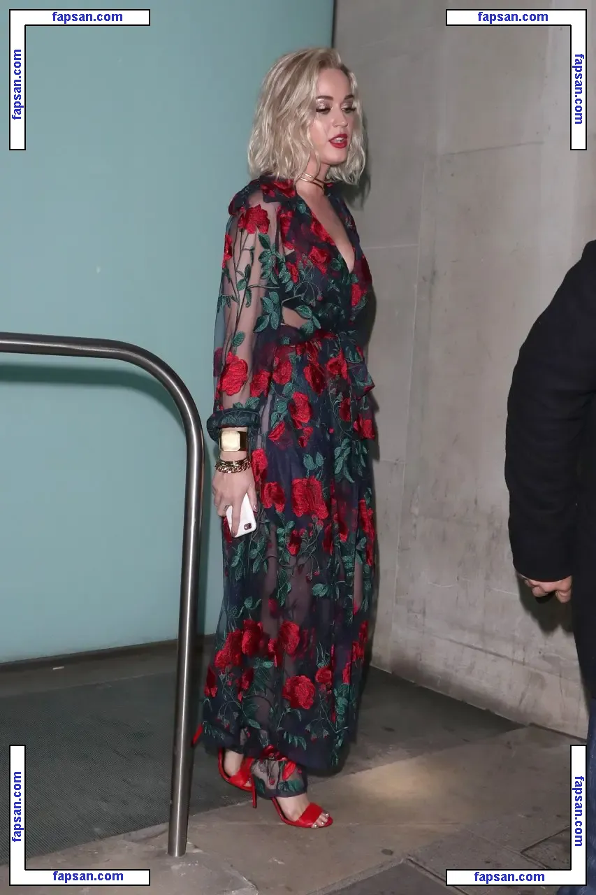 Katy Perry nude photo #1338 from OnlyFans
