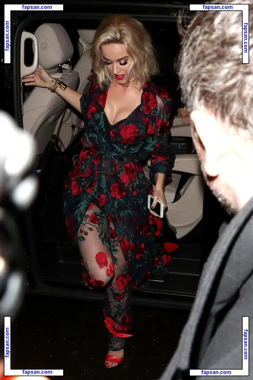 Katy Perry nude photo #1340 from OnlyFans