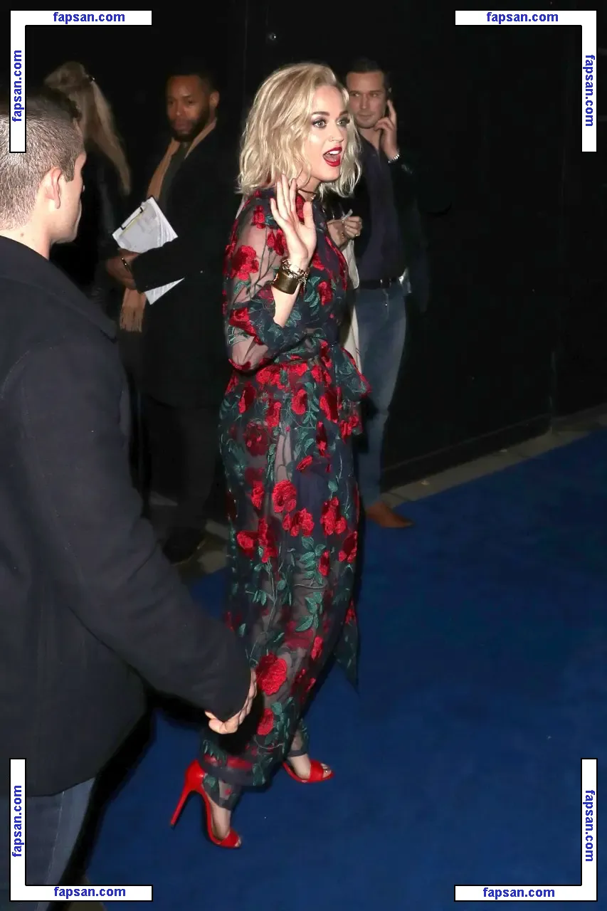 Katy Perry nude photo #1341 from OnlyFans