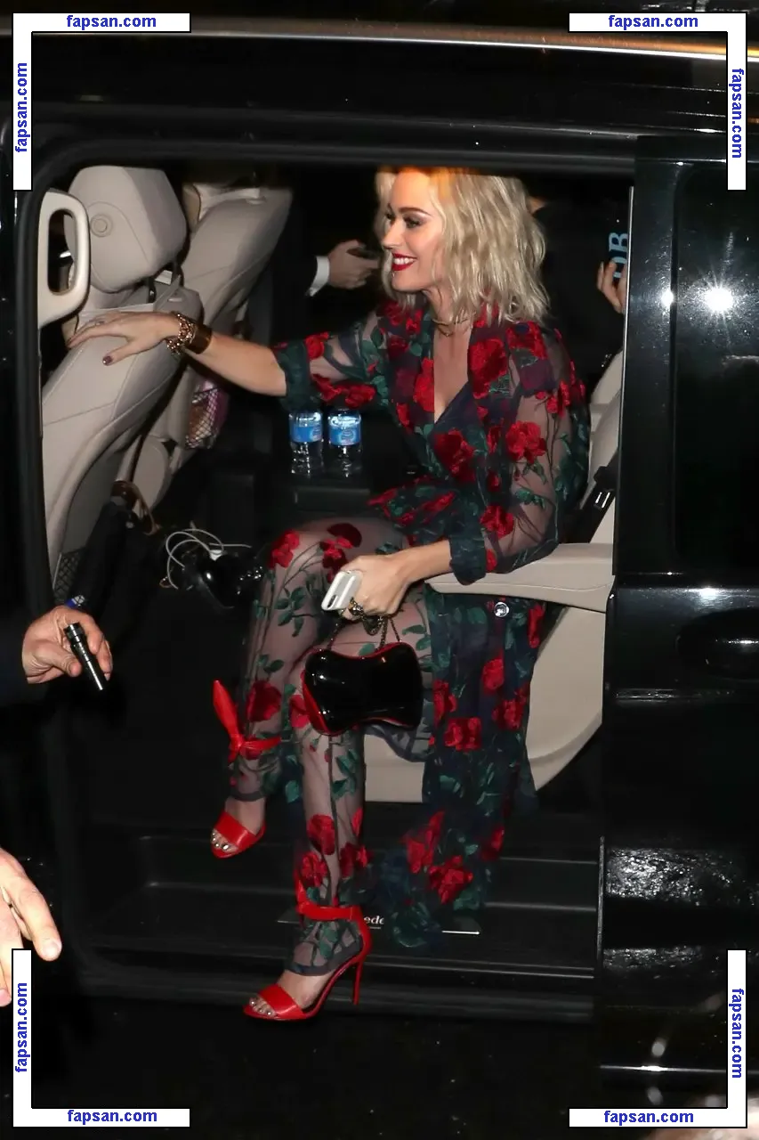 Katy Perry nude photo #1343 from OnlyFans