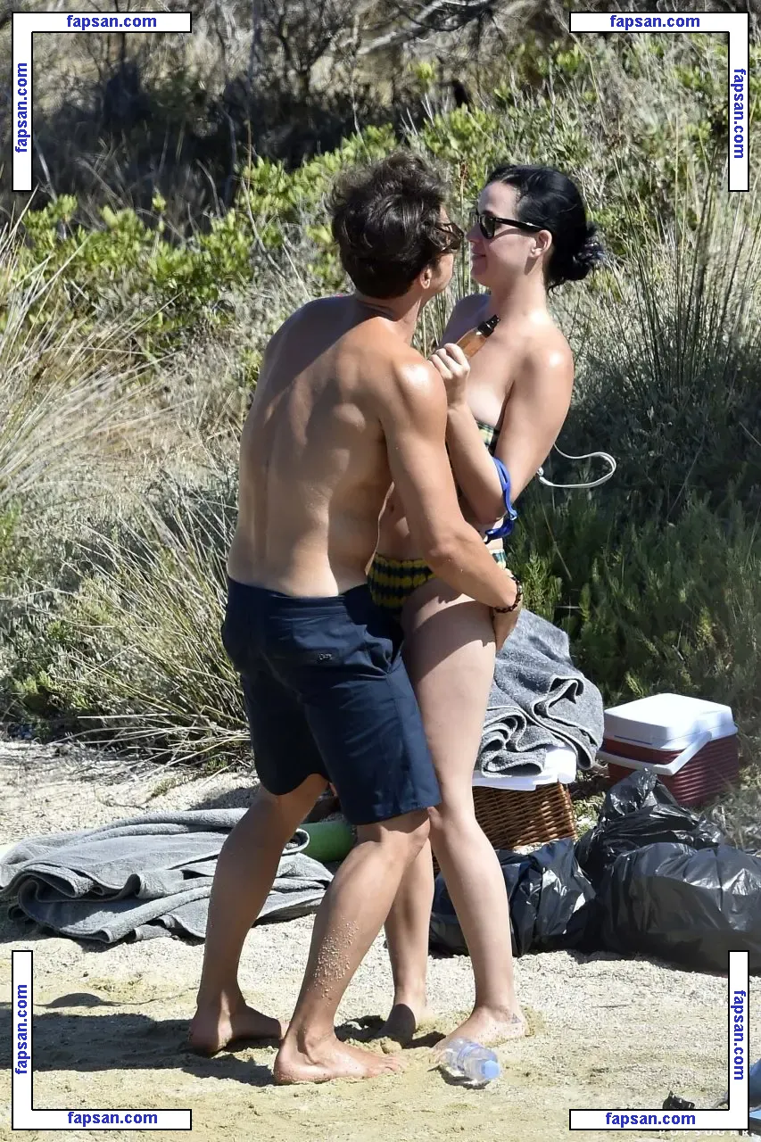 Katy Perry nude photo #1453 from OnlyFans