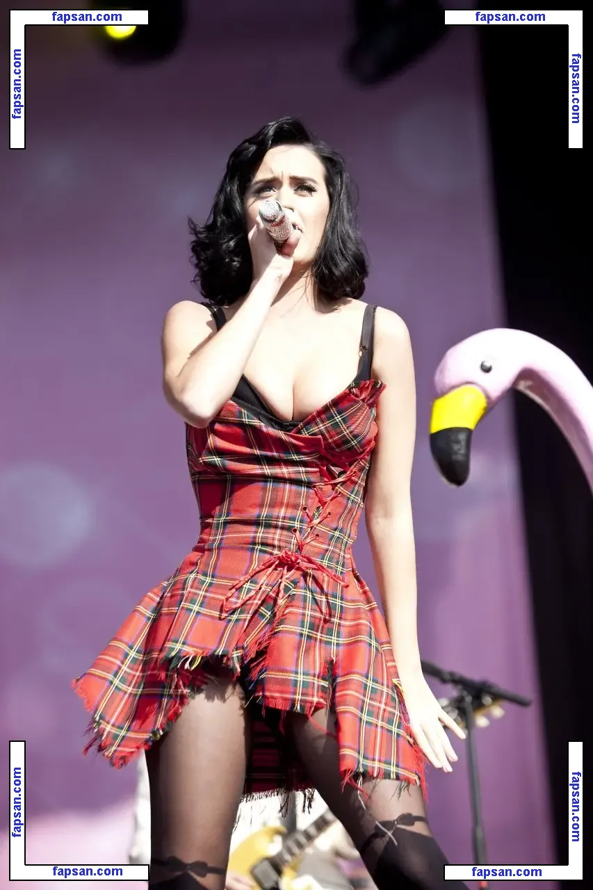 Katy Perry nude photo #1742 from OnlyFans