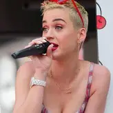 Katy Perry nude #1166