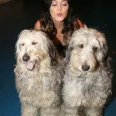 Katy Perry nude #1623