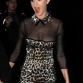 Katy Perry nude #1714