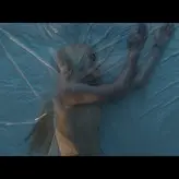 Katy Perry nude #1851