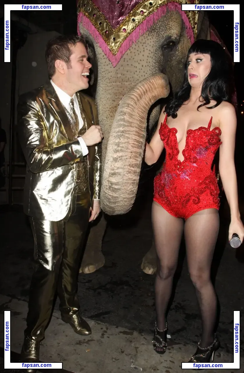 Katy Perry nude photo #2180 from OnlyFans