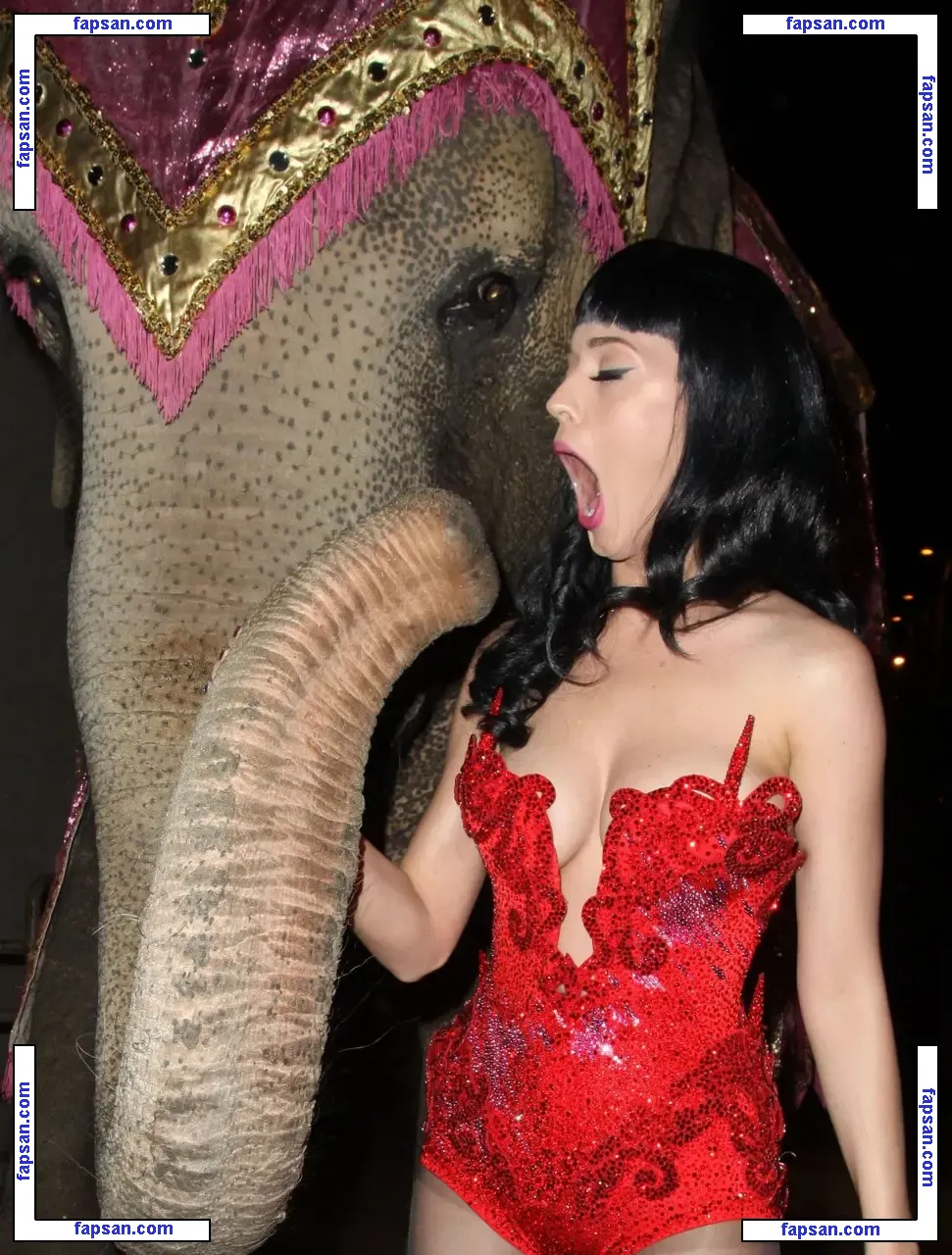 Katy Perry nude photo #2182 from OnlyFans