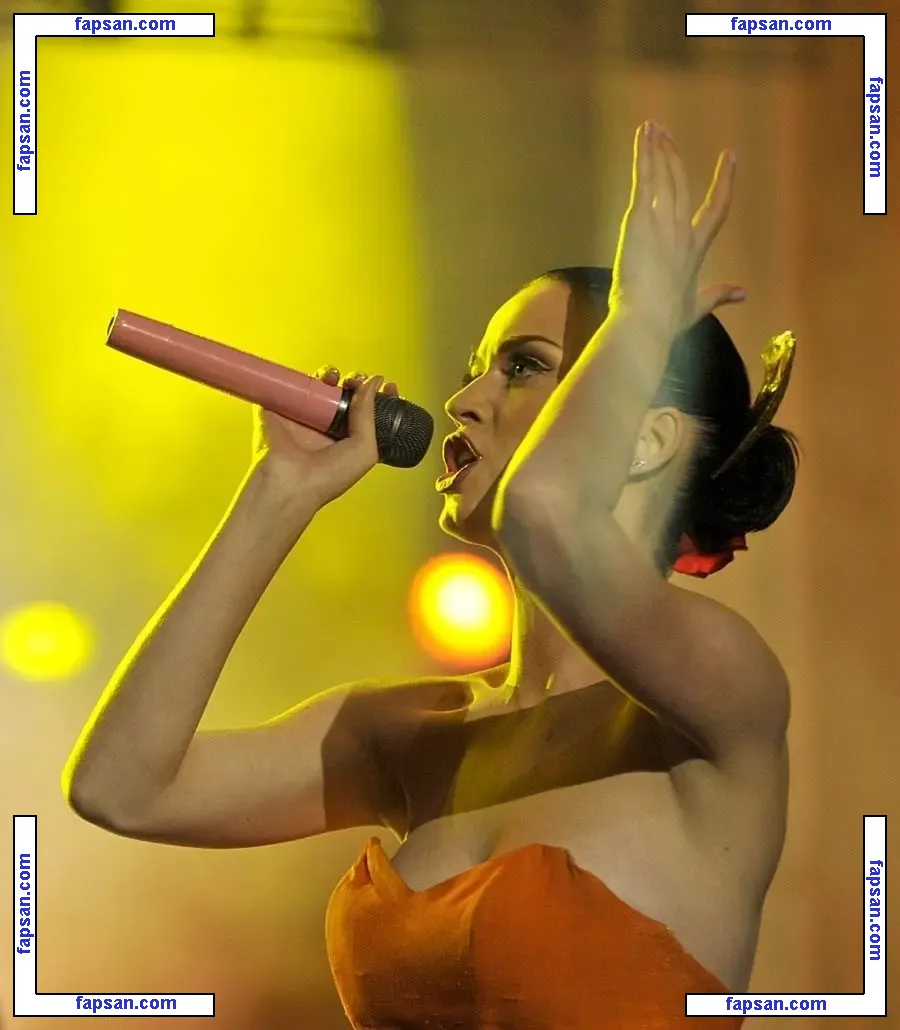 Katy Perry nude photo #2481 from OnlyFans