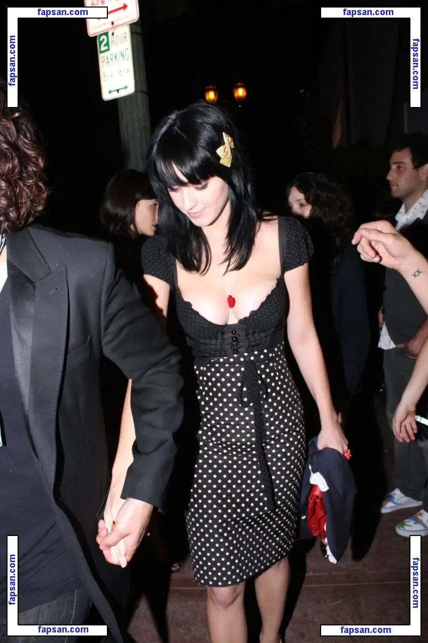 Katy Perry nude photo #2531 from OnlyFans