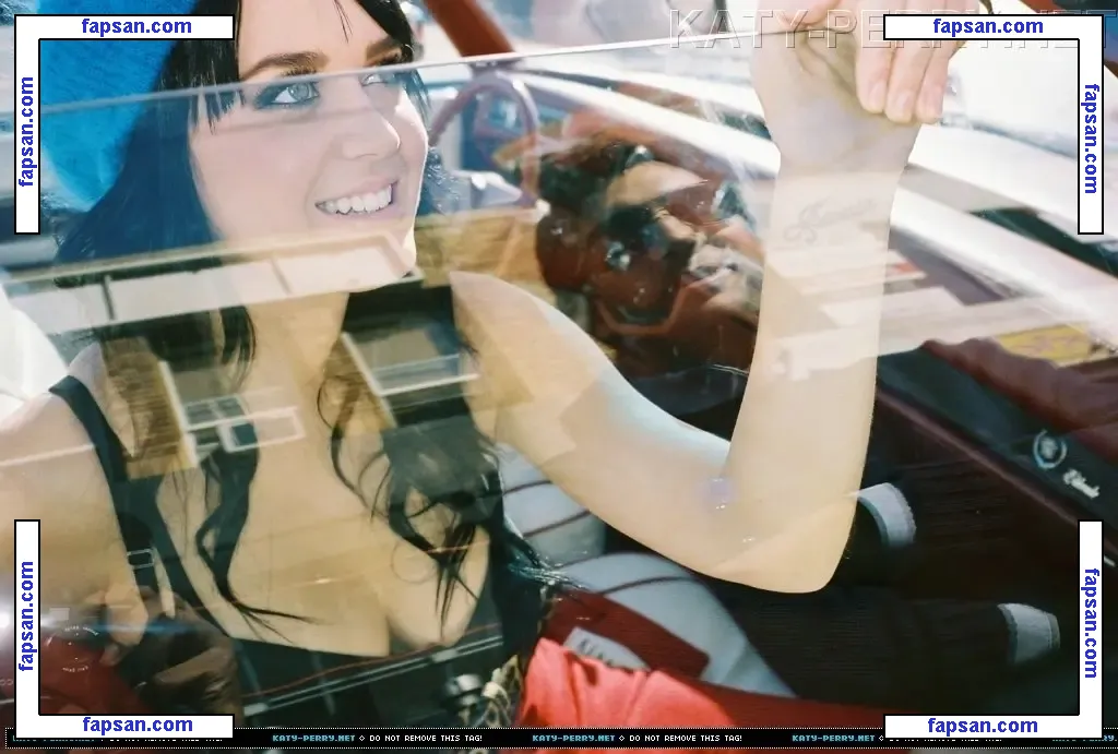 Katy Perry nude photo #2554 from OnlyFans