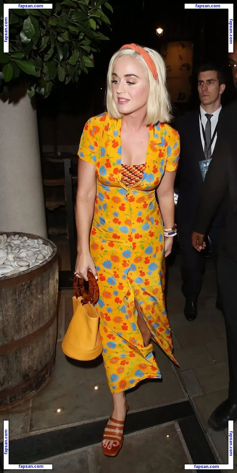 Katy Perry nude photo #2866 from OnlyFans