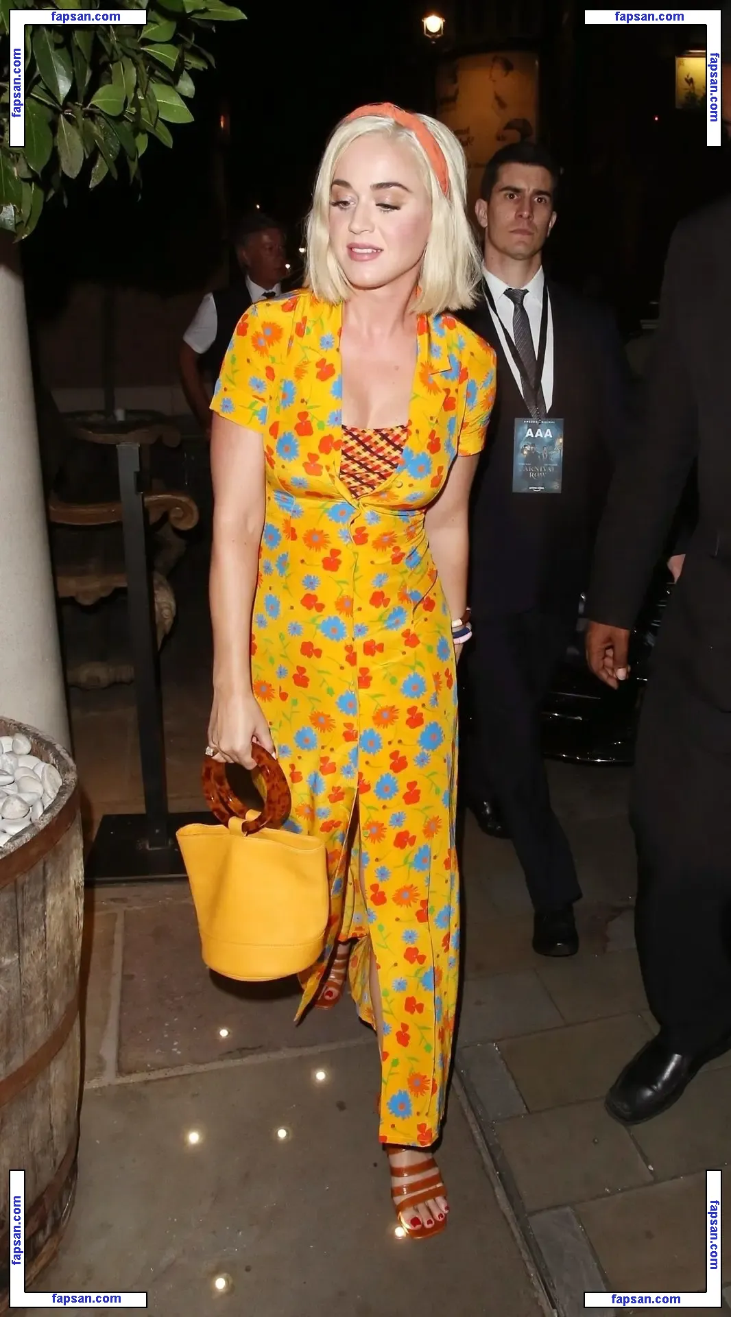 Katy Perry nude photo #2871 from OnlyFans