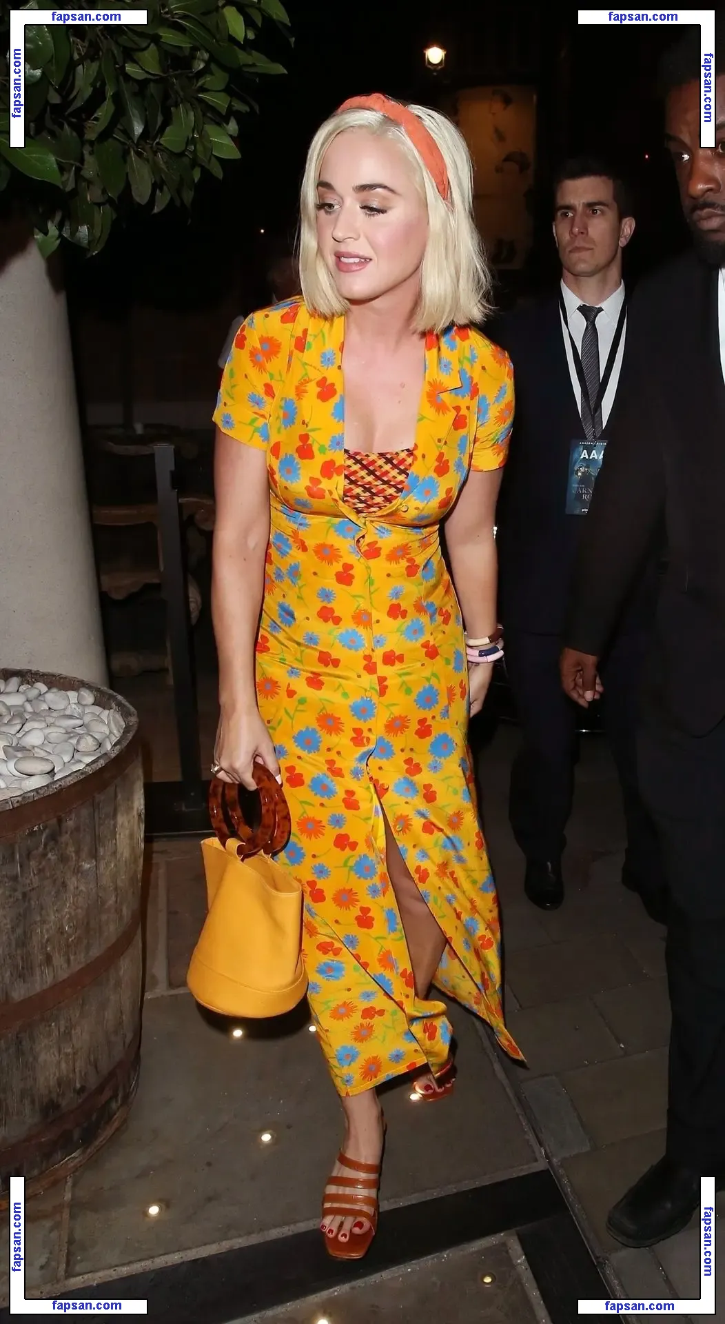 Katy Perry nude photo #2872 from OnlyFans