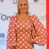Katy Perry nude #2961