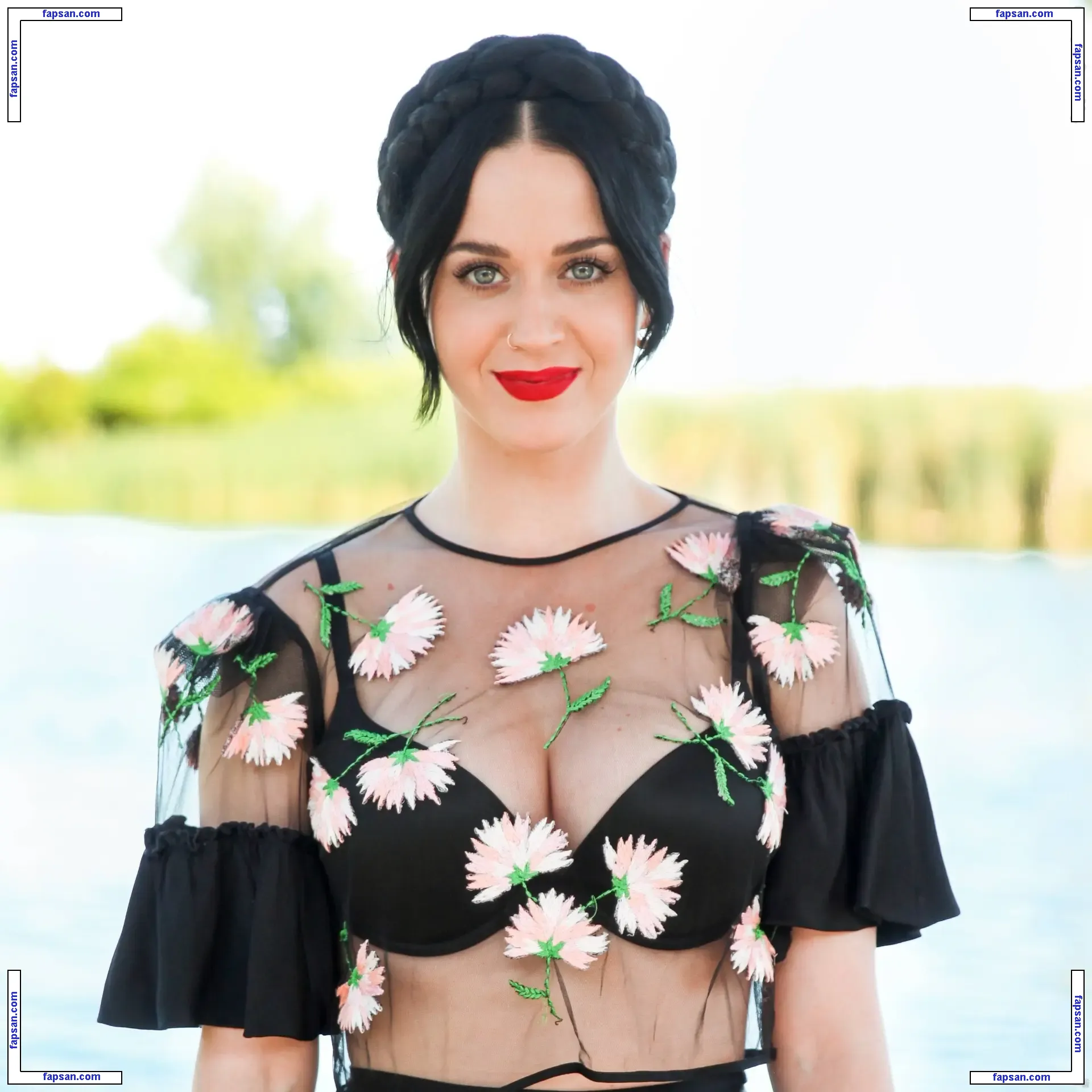 Katy Perry nude photo #3911 from OnlyFans