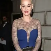 Katy Perry nude #3101