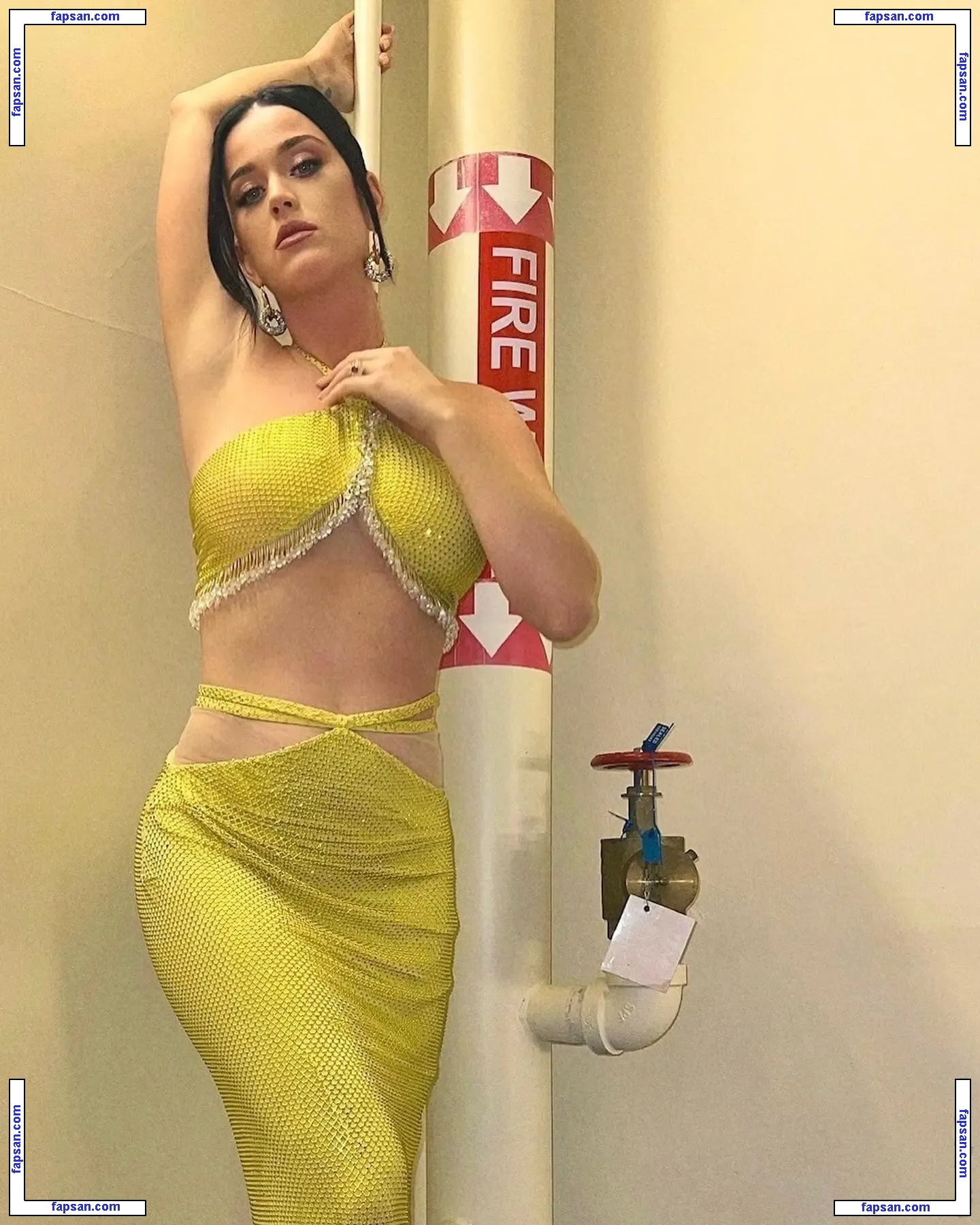 Katy Perry nude photo #4907 from OnlyFans