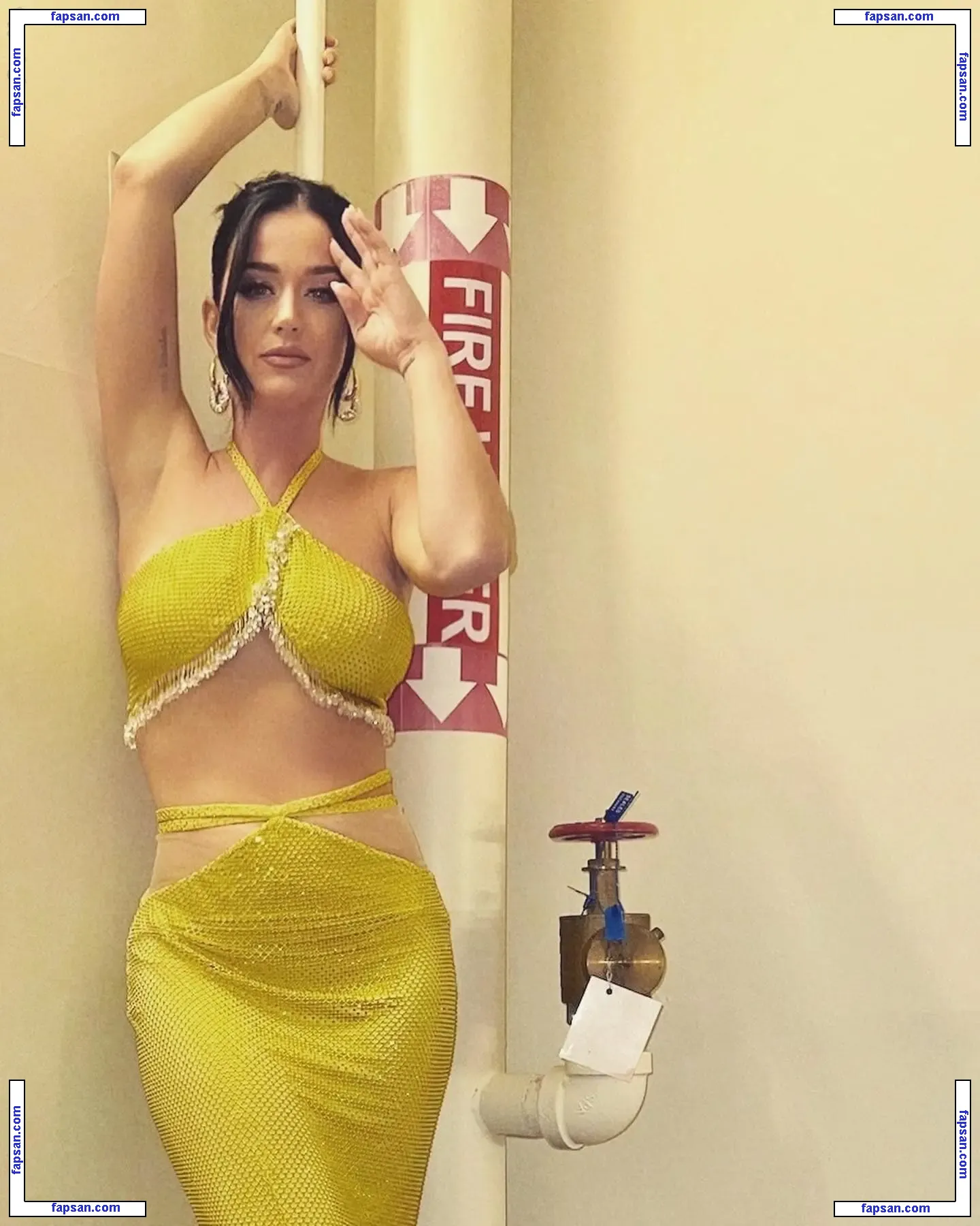 Katy Perry nude photo #4908 from OnlyFans