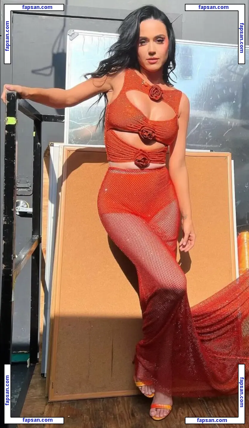 Katy Perry nude photo #4995 from OnlyFans
