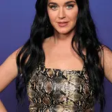 Katy Perry nude #4061