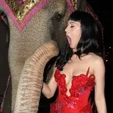 Katy Perry nude #4489