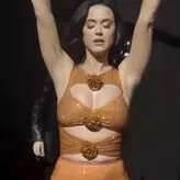 Katy Perry nude #4979