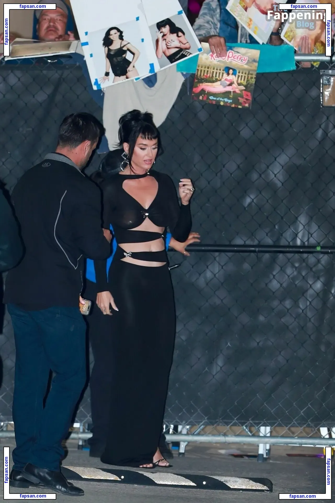 Katy Perry nude photo #5443 from OnlyFans